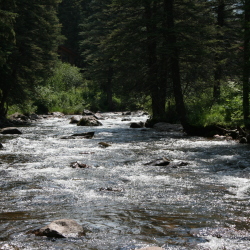 Aspen river